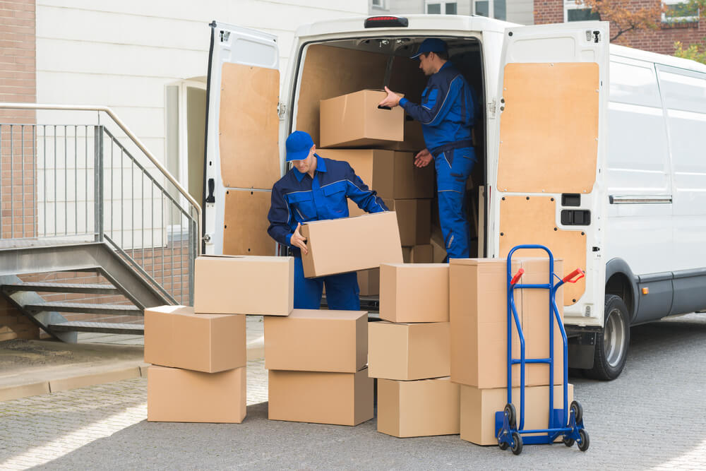 Professional Movers Woodhaven