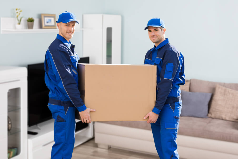Top Packers And Movers Clarksville